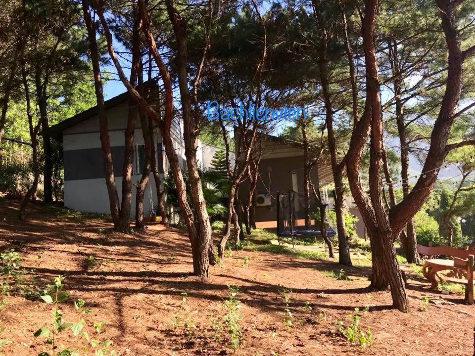 Bachlien Pine Forest Villa Hanoï Extérieur photo