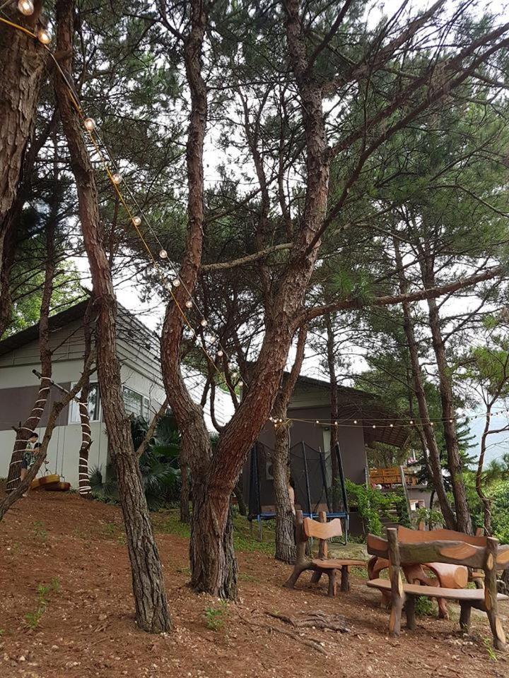 Bachlien Pine Forest Villa Hanoï Extérieur photo